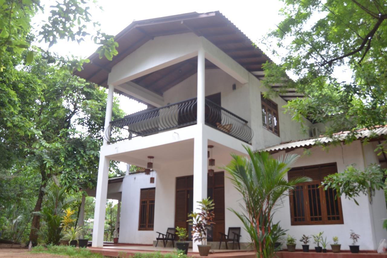 Nice To Meet Home Stay Habarana Bagian luar foto