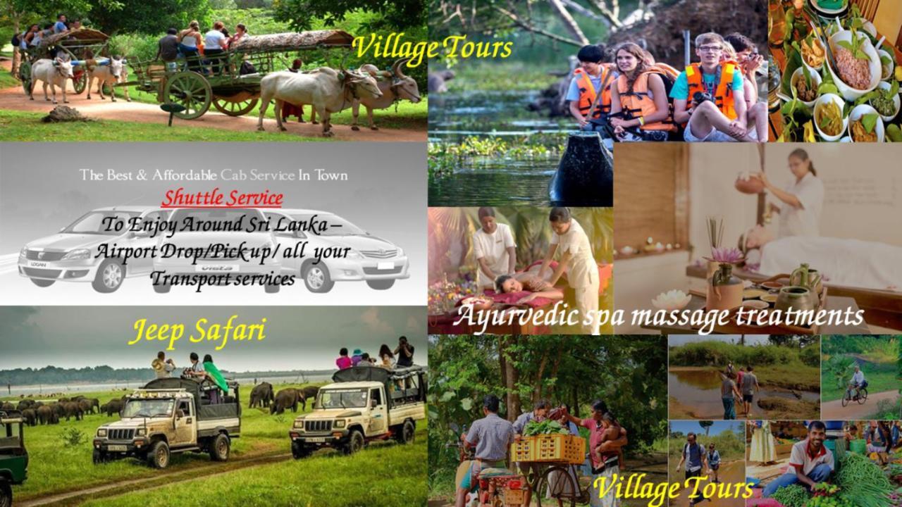 Nice To Meet Home Stay Habarana Bagian luar foto